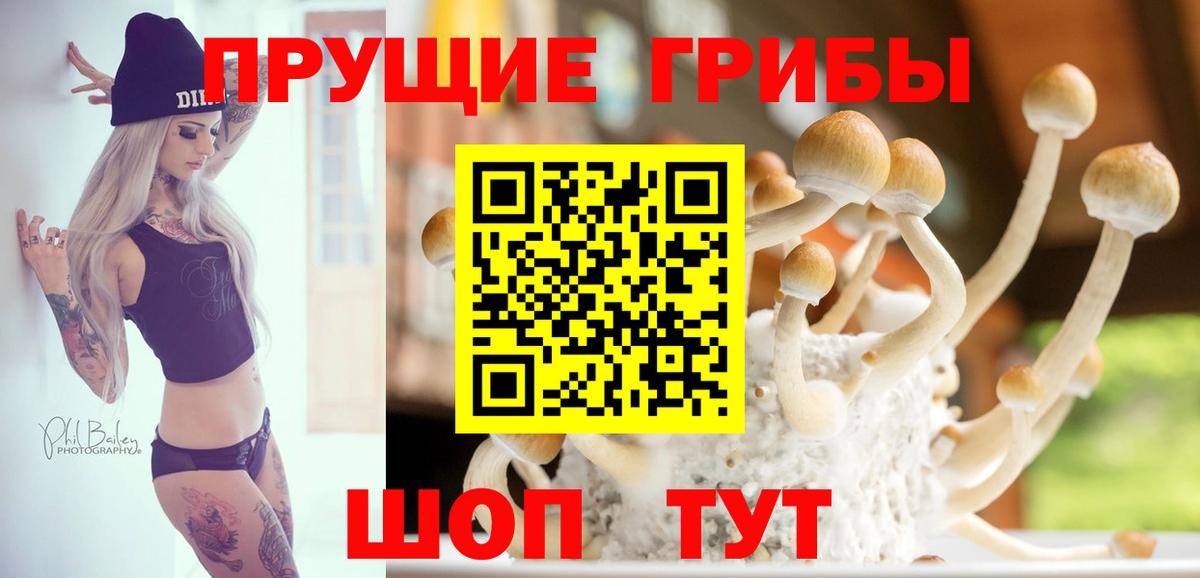 Псилоцибиновые грибы Psilocybine cubensis Алатырь